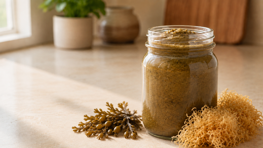 Bladderwrack Sea Moss Gel