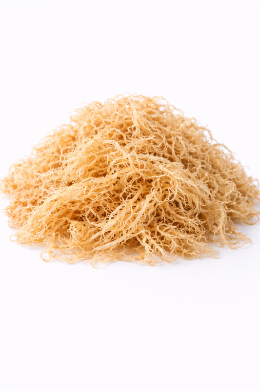 1 LB Raw Gold St Lucian Sea Moss