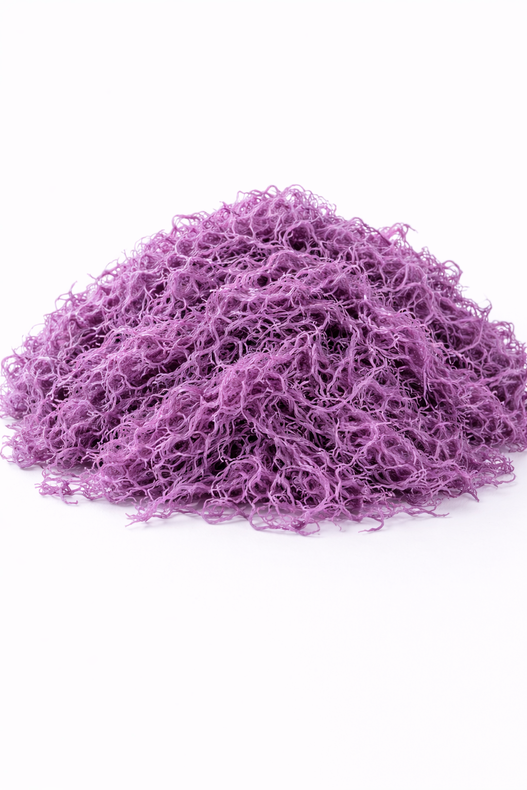 1 LB Raw Purple Sea Moss